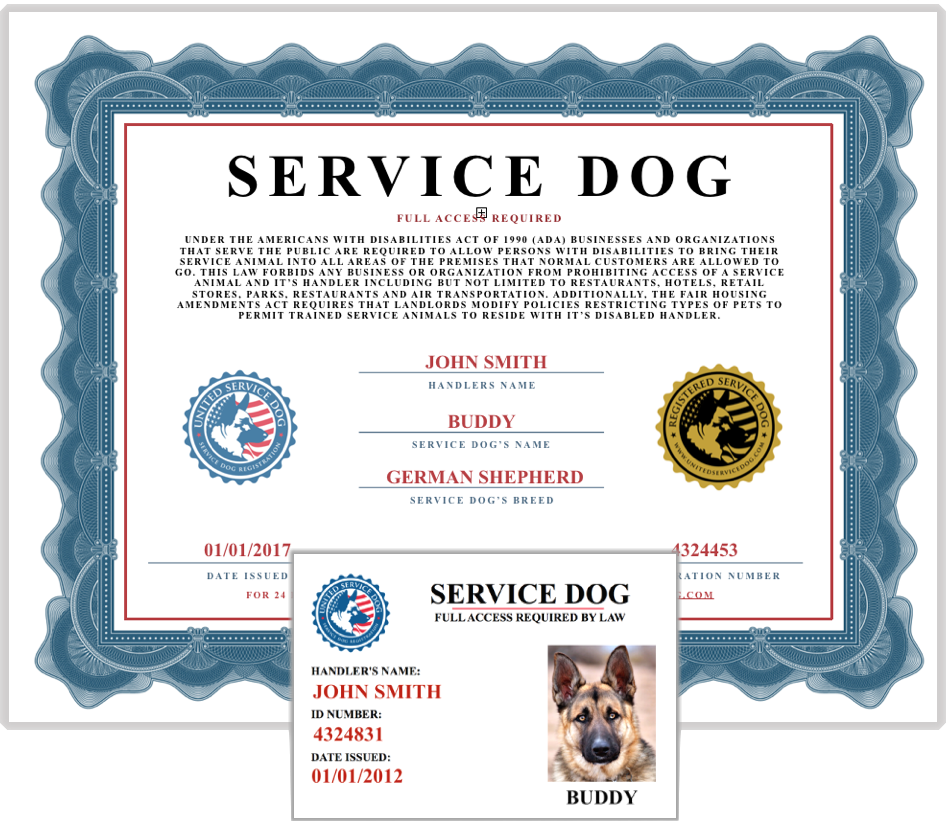 dog_certificate_image